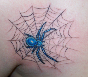 Tattoos blue spider